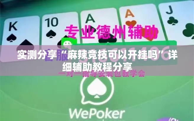实测分享“麻辣竞技可以开挂吗”详细辅助教程分享