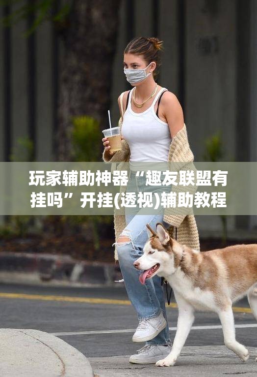 玩家辅助神器“趣友联盟有挂吗”开挂(透视)辅助教程