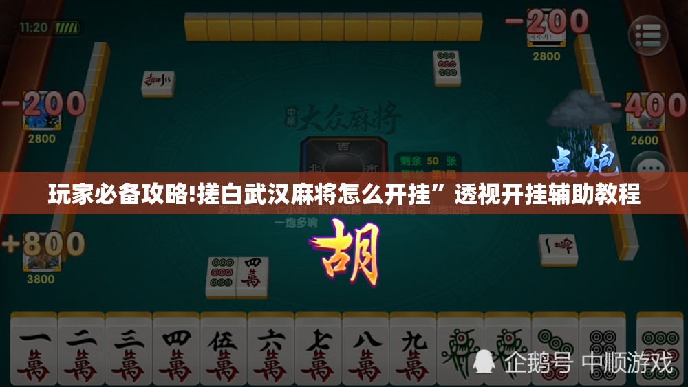 玩家必备攻略!搓白武汉麻将怎么开挂	”透视开挂辅助教程