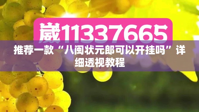 推荐一款“八闽状元郎可以开挂吗	”详细透视教程