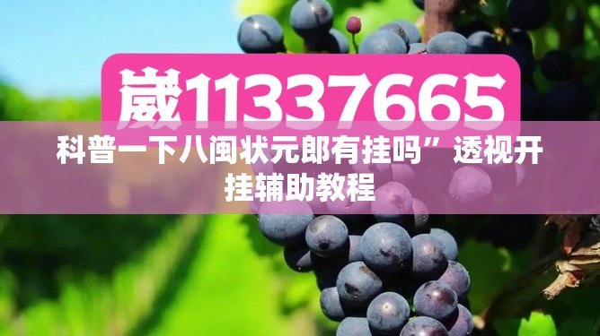 科普一下八闽状元郎有挂吗”透视开挂辅助教程
