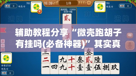 辅助教程分享“微壳跑胡子有挂吗(必备神器)	”其实真的确实有挂