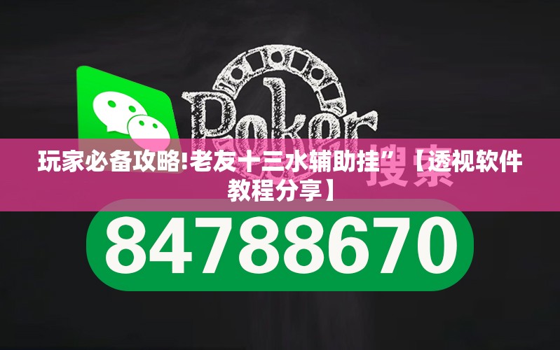 玩家必备攻略!老友十三水辅助挂”【透视软件教程分享】