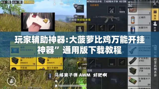 玩家辅助神器:大菠萝比鸡万能开挂神器	”通用版下载教程