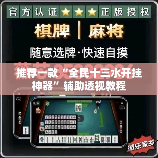推荐一款“全民十三水开挂神器”辅助透视教程
