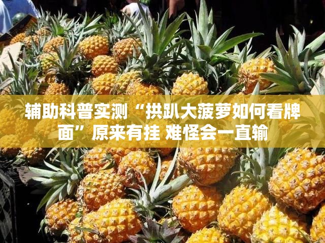 辅助科普实测“拱趴大菠萝如何看牌面”原来有挂 难怪会一直输