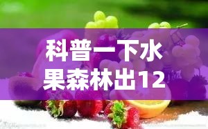 科普一下水果森林出120倍打法”最新辅助详细教程