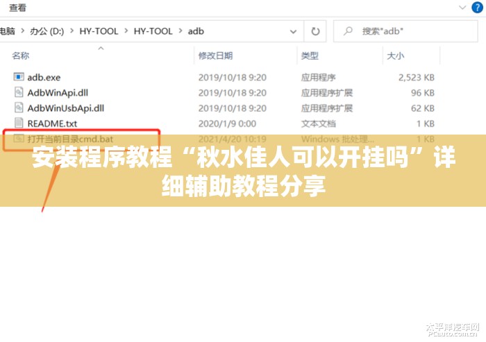 安装程序教程“秋水佳人可以开挂吗”详细辅助教程分享