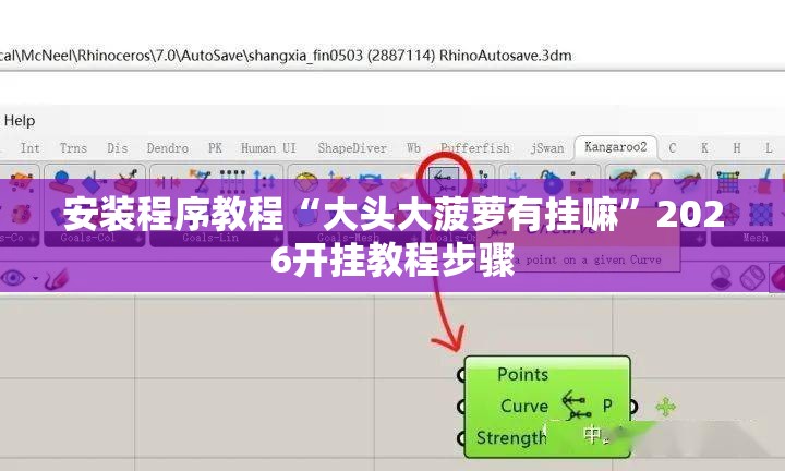 安装程序教程“大头大菠萝有挂嘛	”2026开挂教程步骤