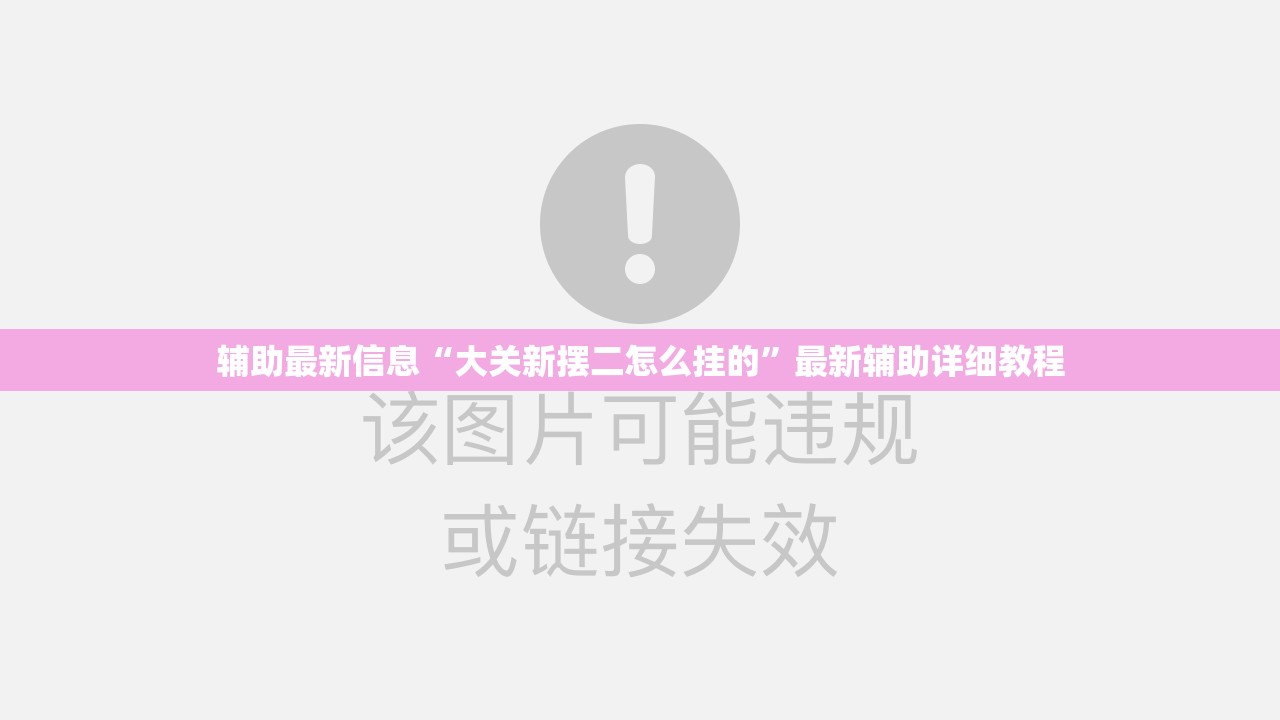 辅助最新信息“大关新摆二怎么挂的”最新辅助详细教程