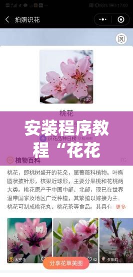 安装程序教程“花花生活圈可以开挂吗(必备神器)”其实真的确实有挂