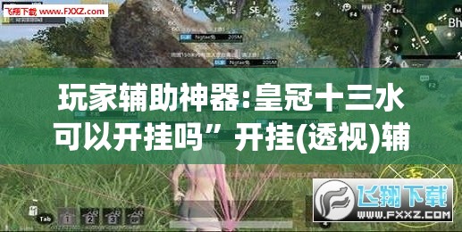 玩家辅助神器:皇冠十三水可以开挂吗	”开挂(透视)辅助教程