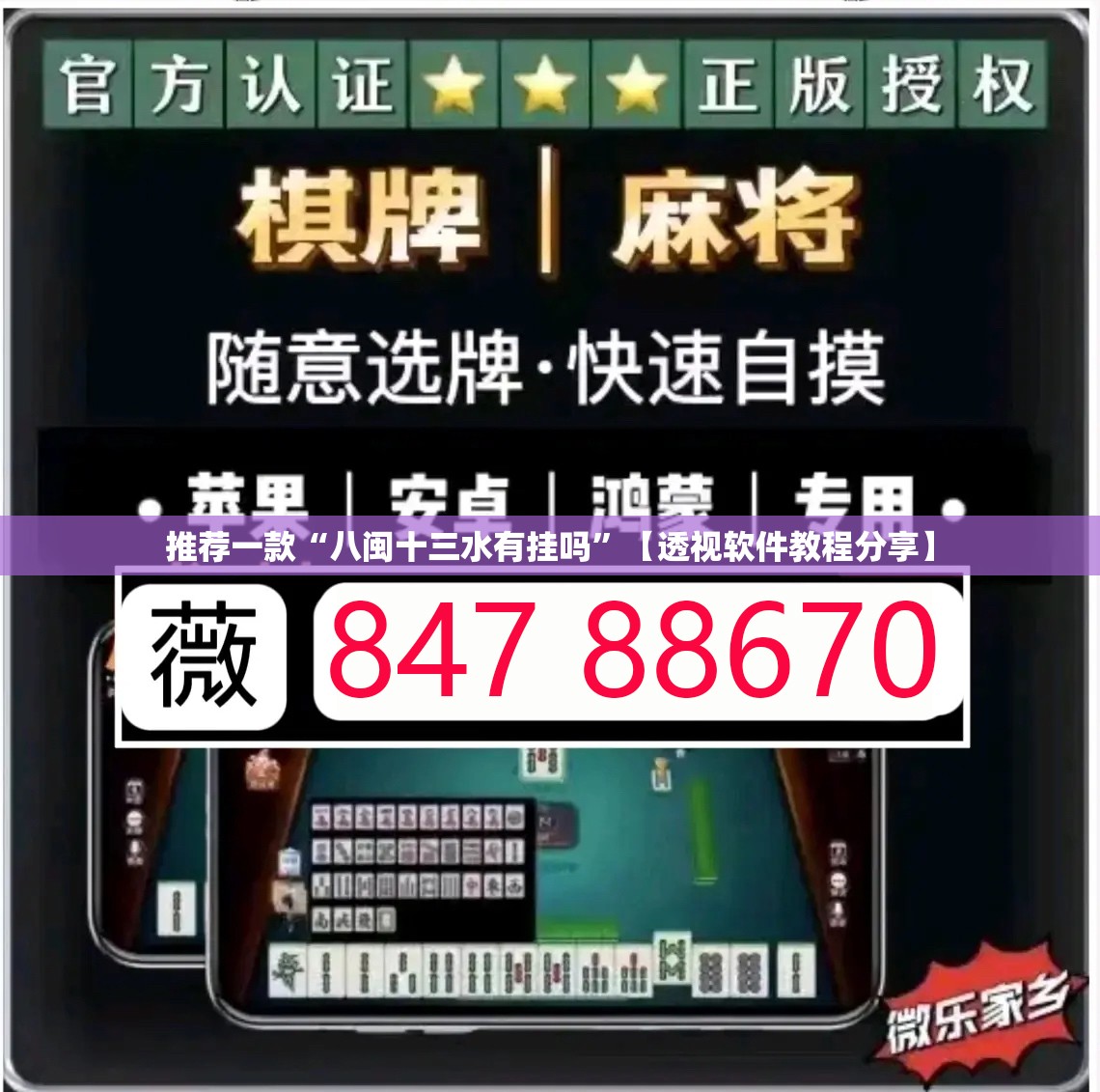 推荐一款“八闽十三水有挂吗	”【透视软件教程分享】