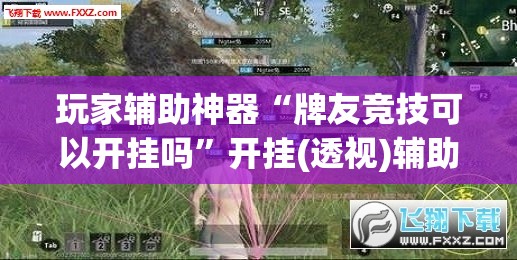 玩家辅助神器“牌友竞技可以开挂吗”开挂(透视)辅助教程