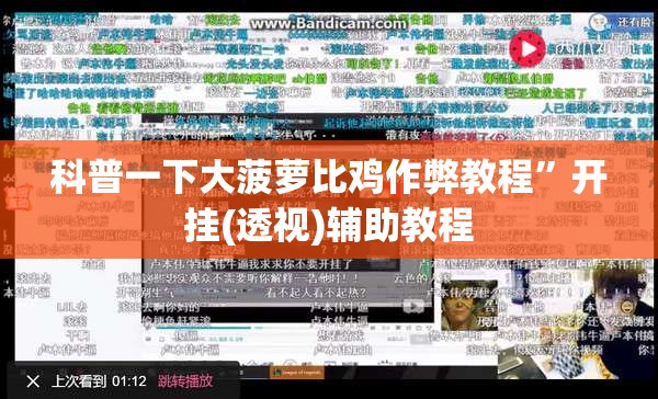 科普一下大菠萝比鸡作弊教程	”开挂(透视)辅助教程