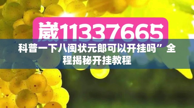 科普一下八闽状元郎可以开挂吗”全程揭秘开挂教程