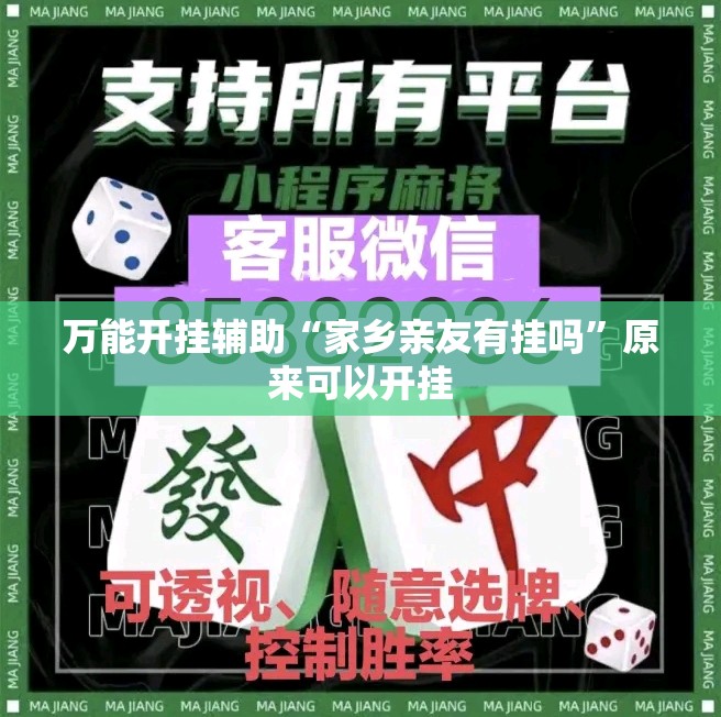 万能开挂辅助“家乡亲友有挂吗”原来可以开挂