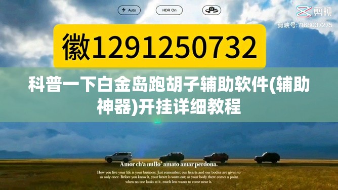 科普一下白金岛跑胡子辅助软件(辅助神器)开挂详细教程