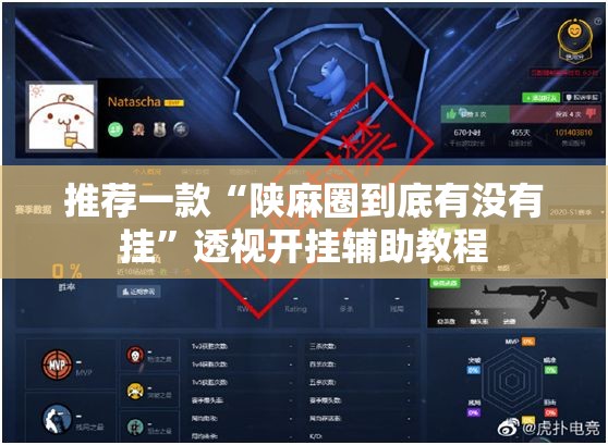 推荐一款“陕麻圈到底有没有挂”透视开挂辅助教程