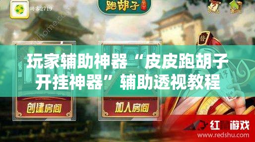 玩家辅助神器“皮皮跑胡子开挂神器”辅助透视教程